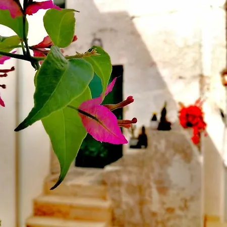 Hébergement de vacances Casa Chicca Salentro *